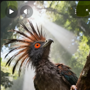 Automated AI YouTube Shorts Generator (Faceless Channel Builder)